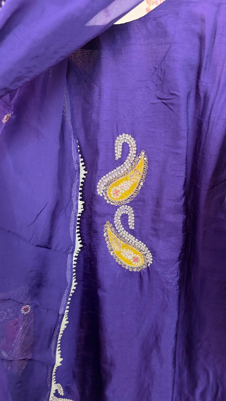 Indo western short silk top with divider and organza Dupatta ( work on back of top also)