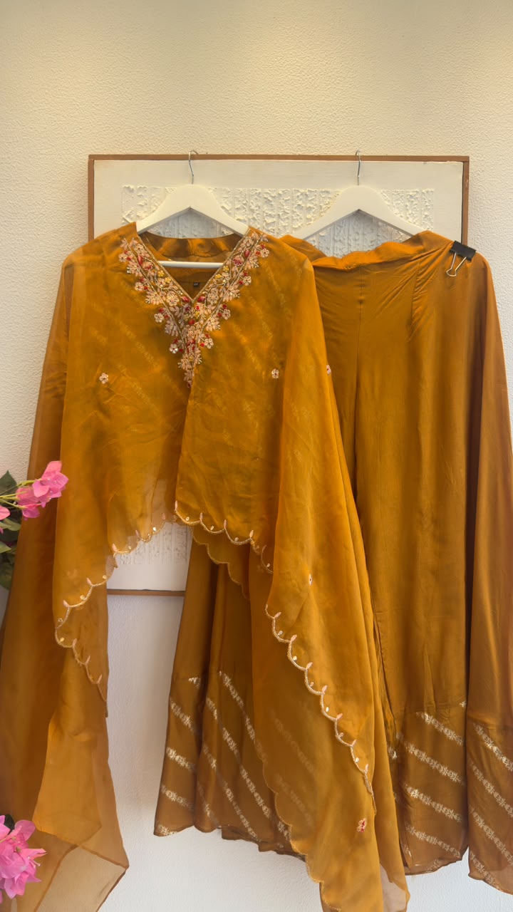 Soft organza Cape style Indo western