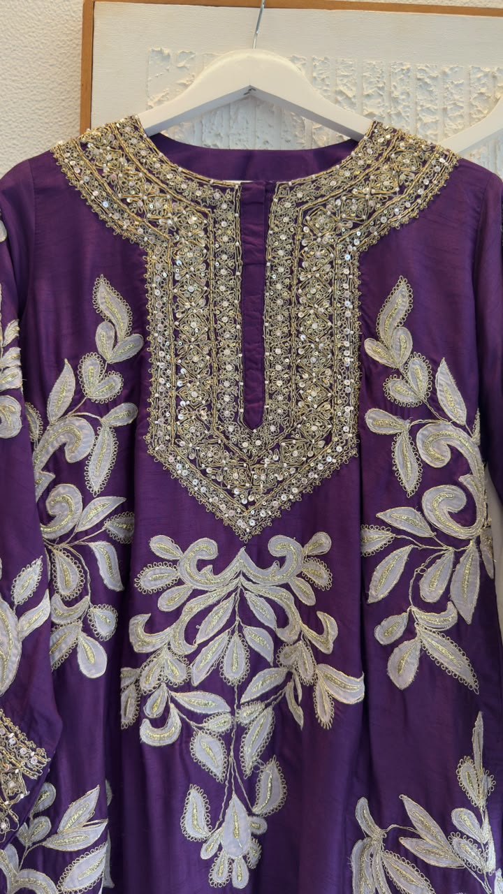 Beautiful Gajji Bhatti with silk applique embroidery top