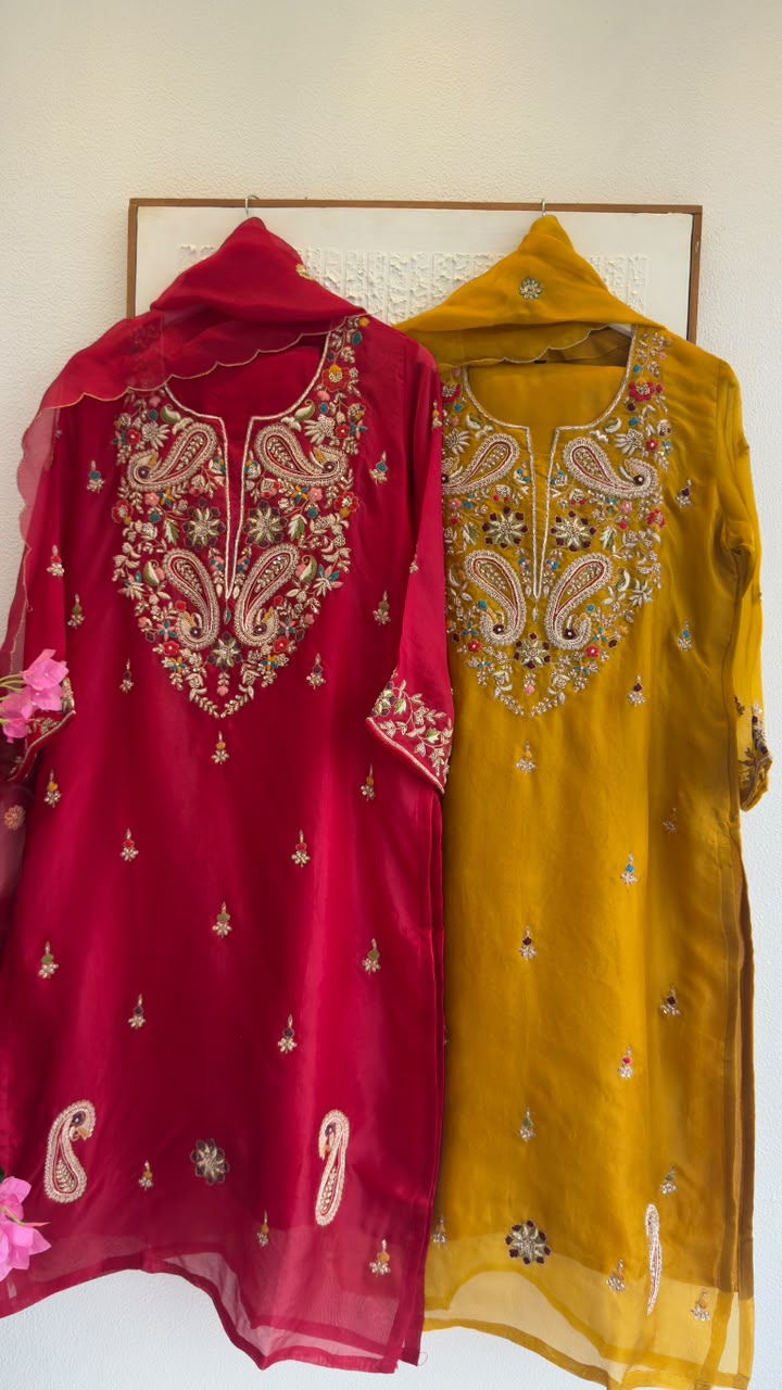 Luxe organza zardozi work staright suit