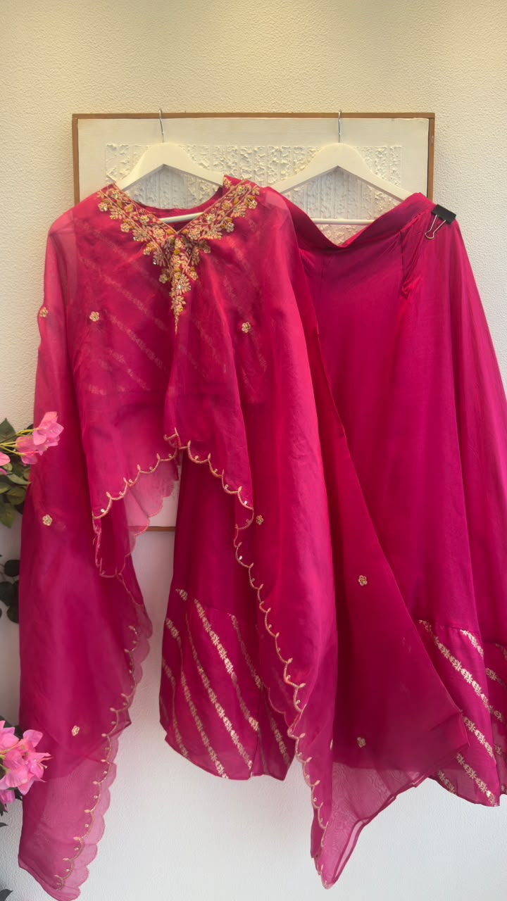 Soft organza Cape style Indo western