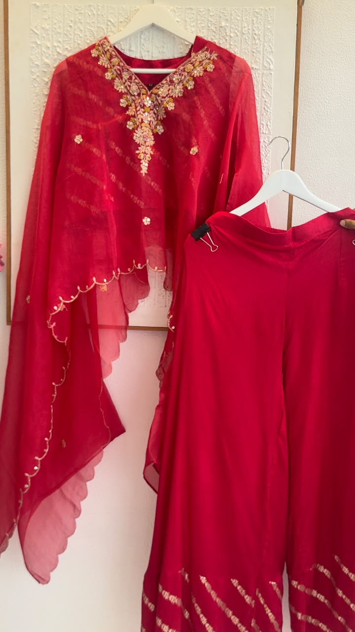 Soft organza Cape style Indo western