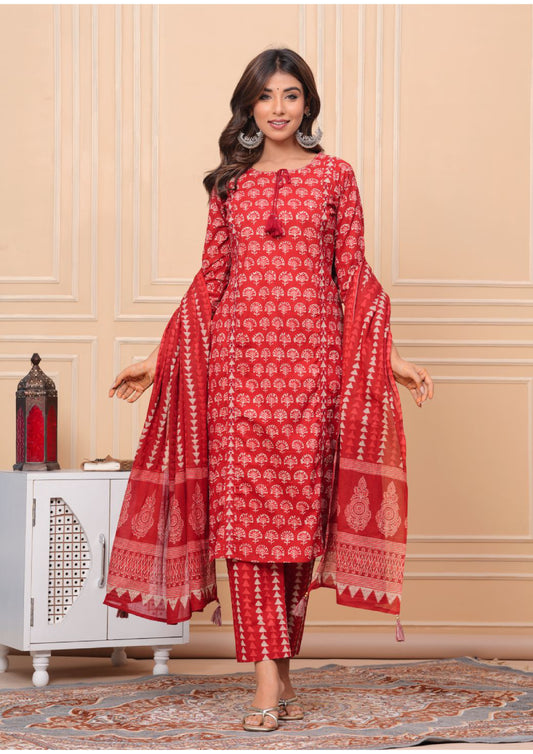 Pure cotton mitta red with real mirror work