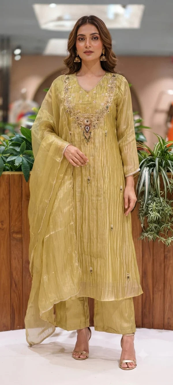 Salsa tissue Anarkali with handwork