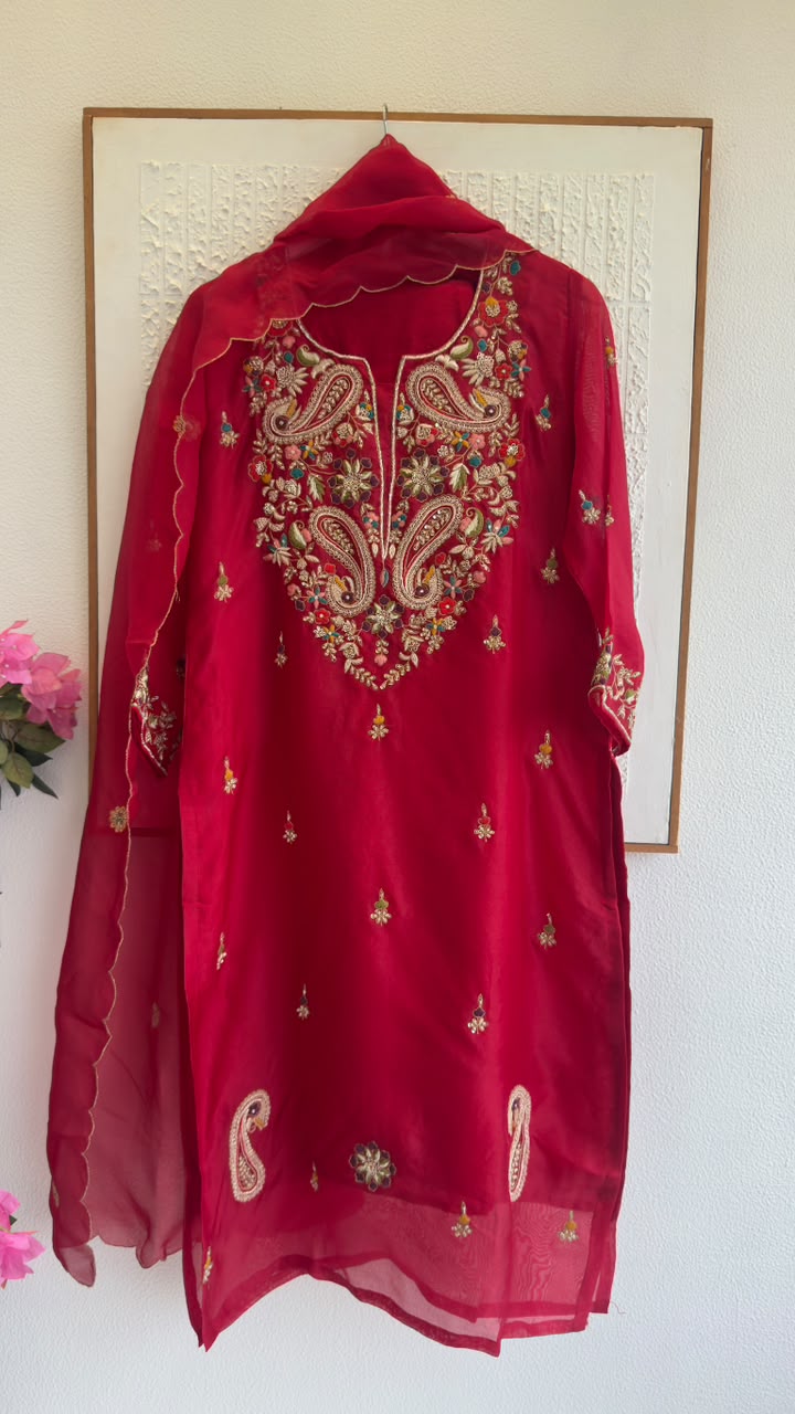 Luxe organza zardozi work staright suit
