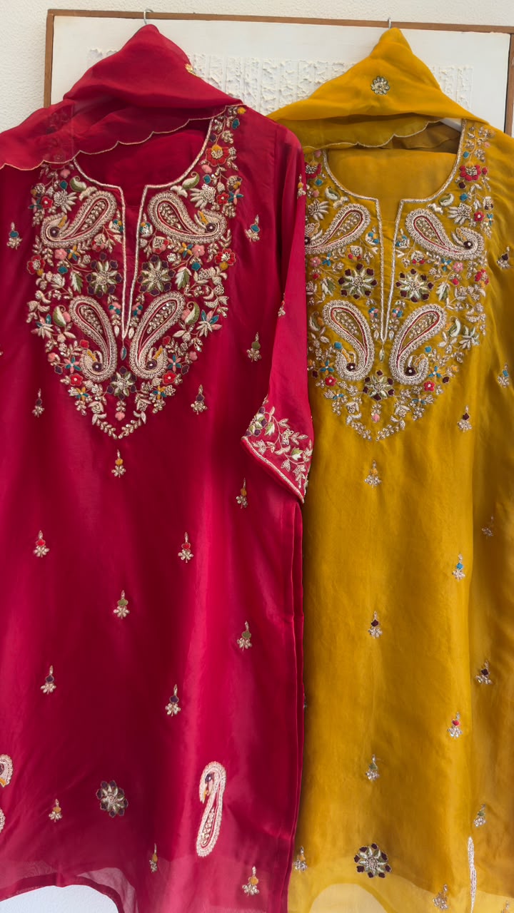 Luxe organza zardozi work staright suit