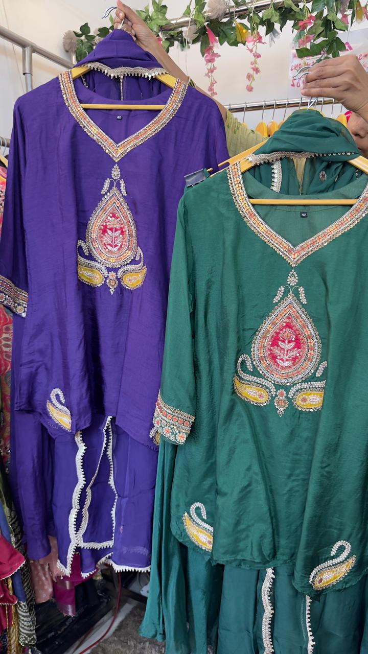 Indo western short silk top with divider and organza Dupatta ( work on back of top also)