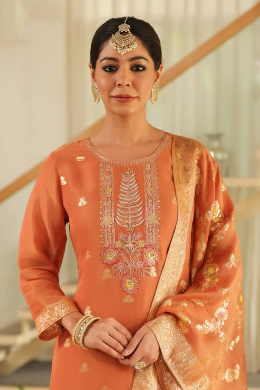 Rust Pure banaras organza silk with cotton lining suit